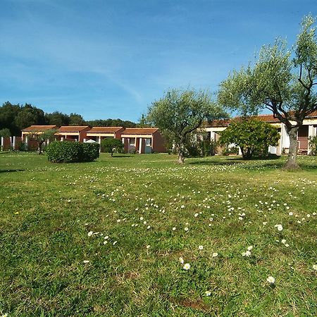 Naturist Park Koversada Villas, Vrsar Eksteriør bilde